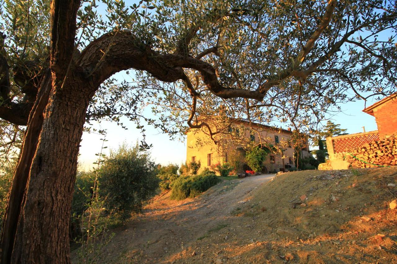 Appartamento Casolare Marconi Panicale Esterno foto